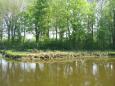 IMG 1894(1)