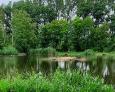 20200704 165555 (Middel)